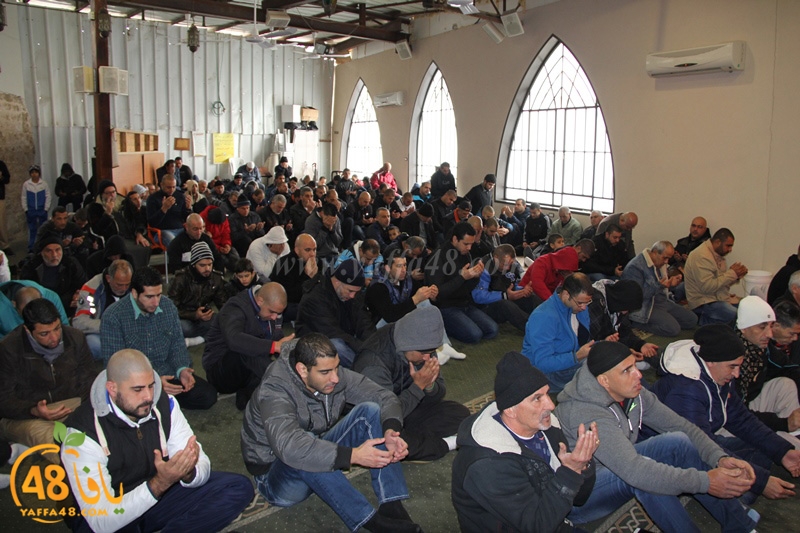 mahomoud shaneer (3).JPG